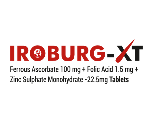 IROBURG-XT